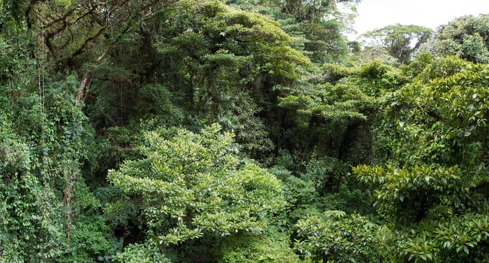 Puerto Limón