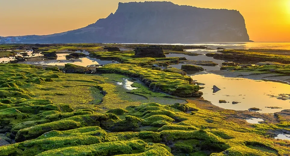 Jeju City
