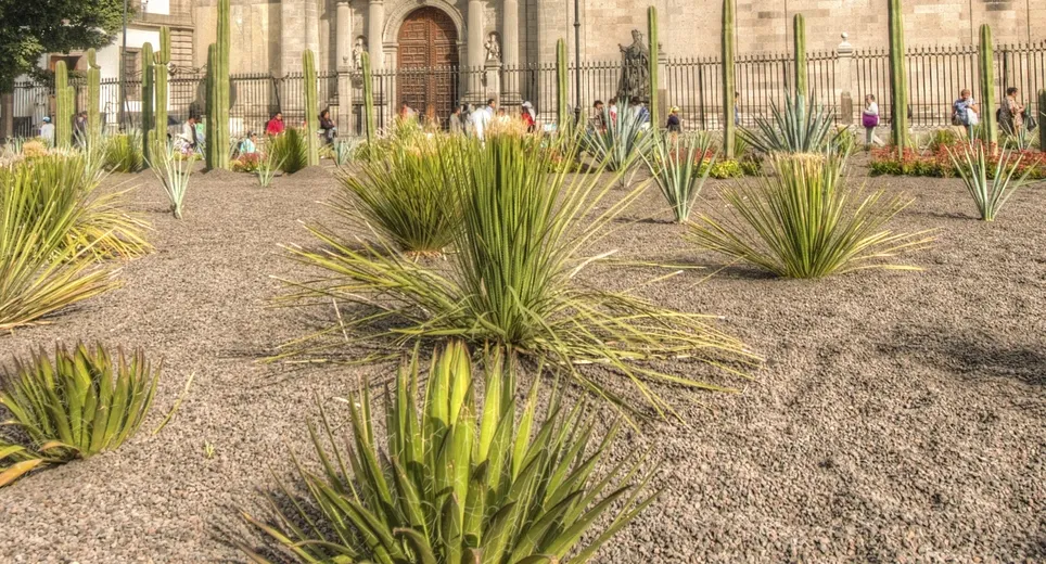 Mexico City