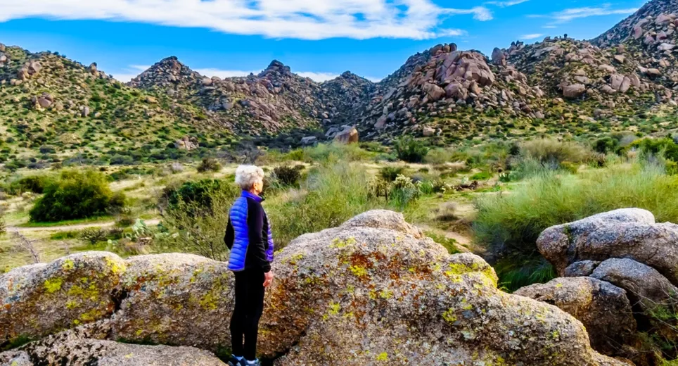 Phoenix