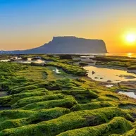 Jeju City