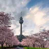 Daegu